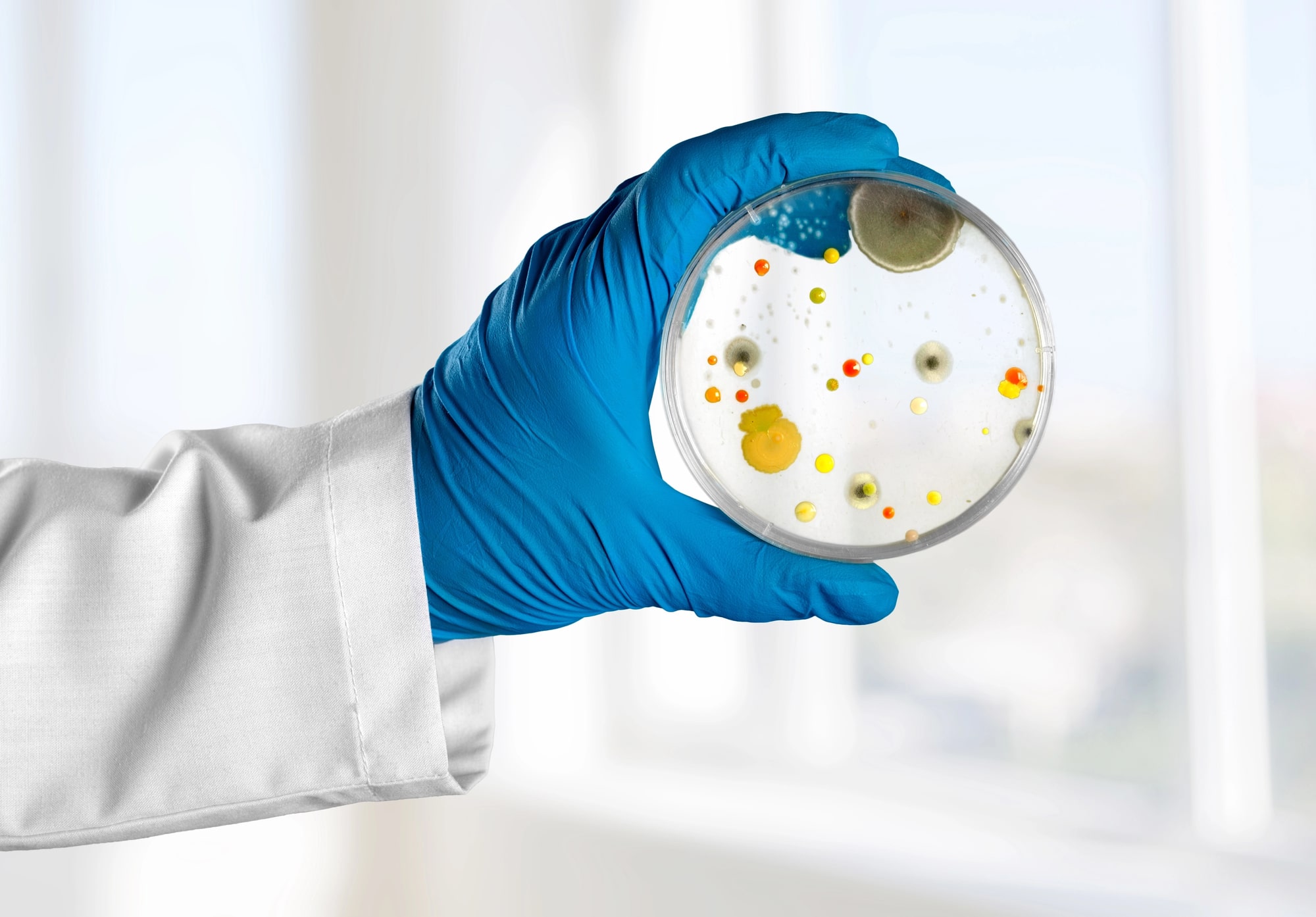 baktéria, vedec, laboratórium