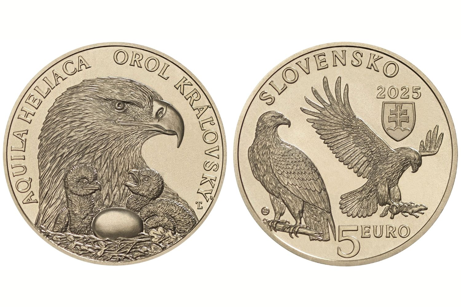 minca, eurominca, orol kráľovský