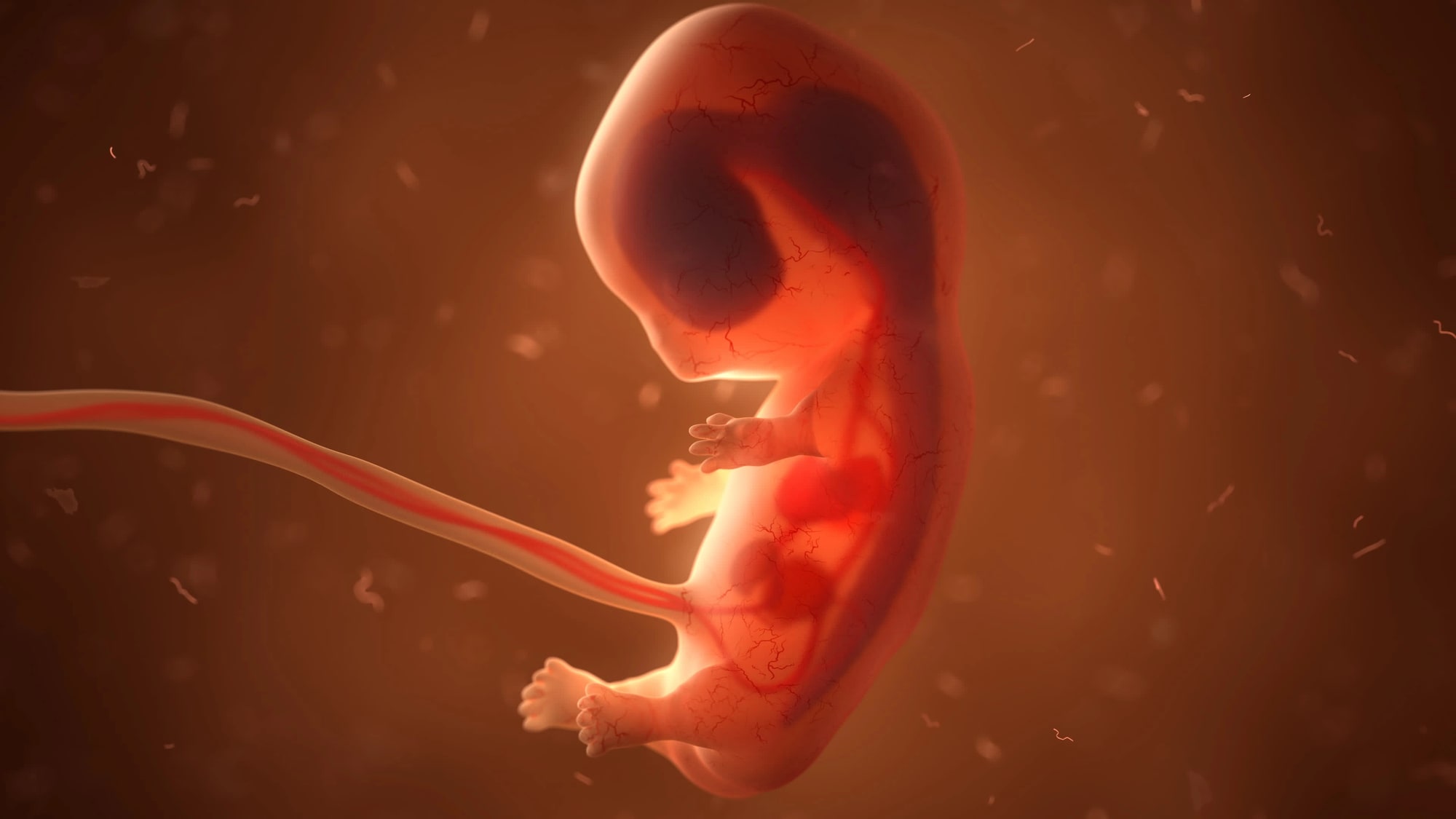 Majú DNA od 3 rodičov: Na svet prichádzajú prvé deti, vedci skúmajú ich genetické zdravie