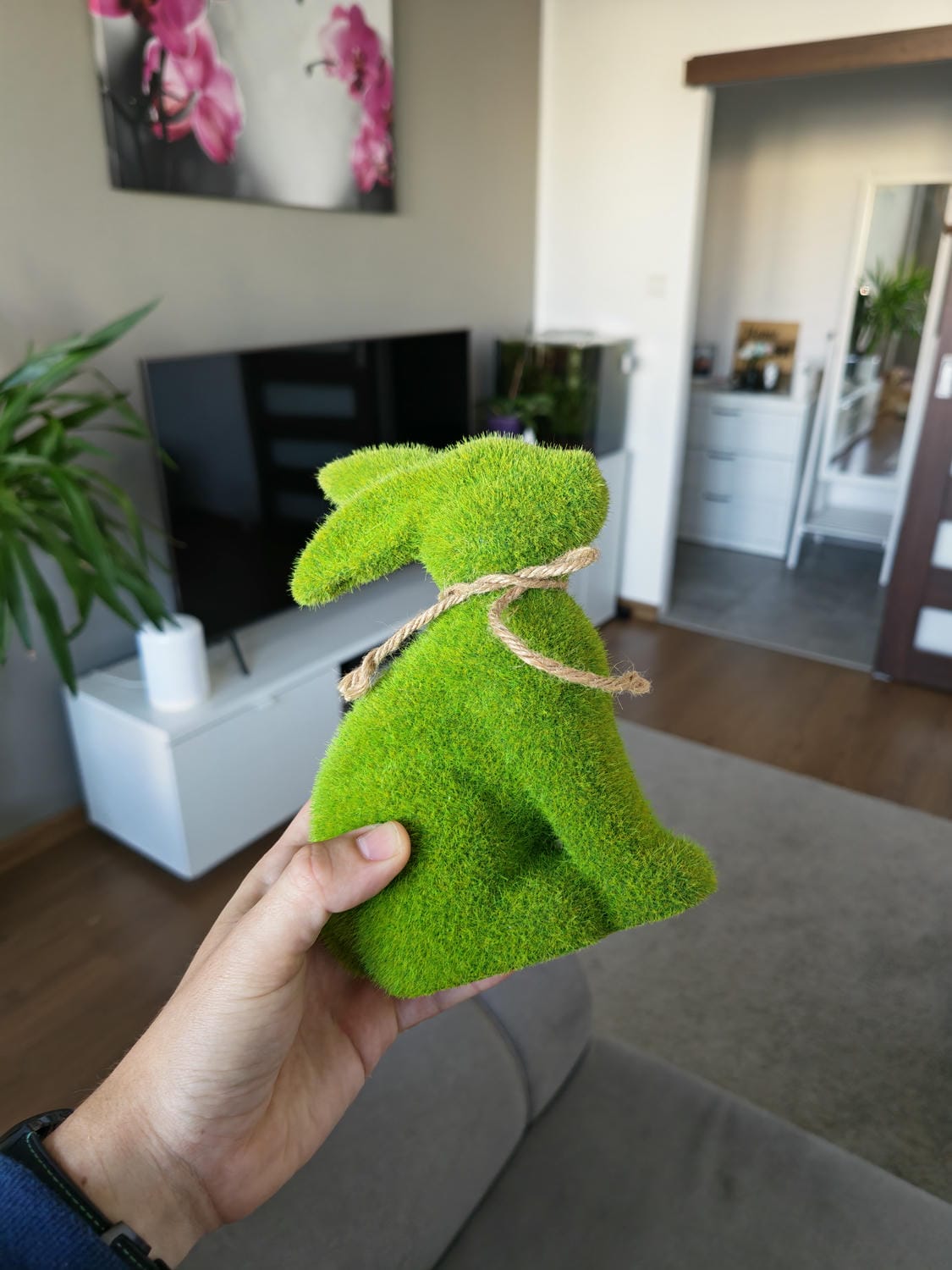 Honor Magic V5