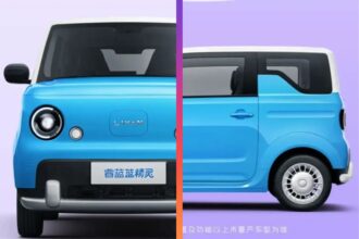 Livian Smurf