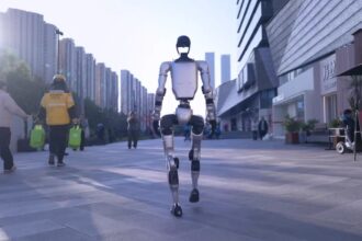 homanoidný robot