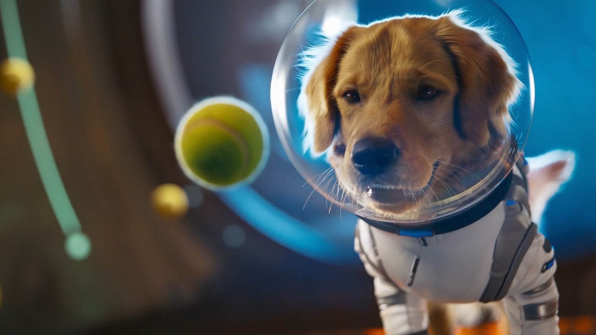 Nová aplikácia od tvorcu ChatGPT vám vyrazí dych. TOTO dokáže Sora 2 od OpenAI