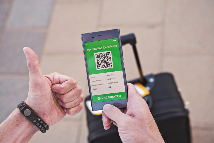 Boarding pass v mobile