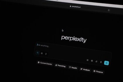 Perplexity