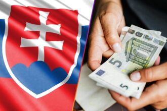 štát, peniaze, SaS, konsolidácia