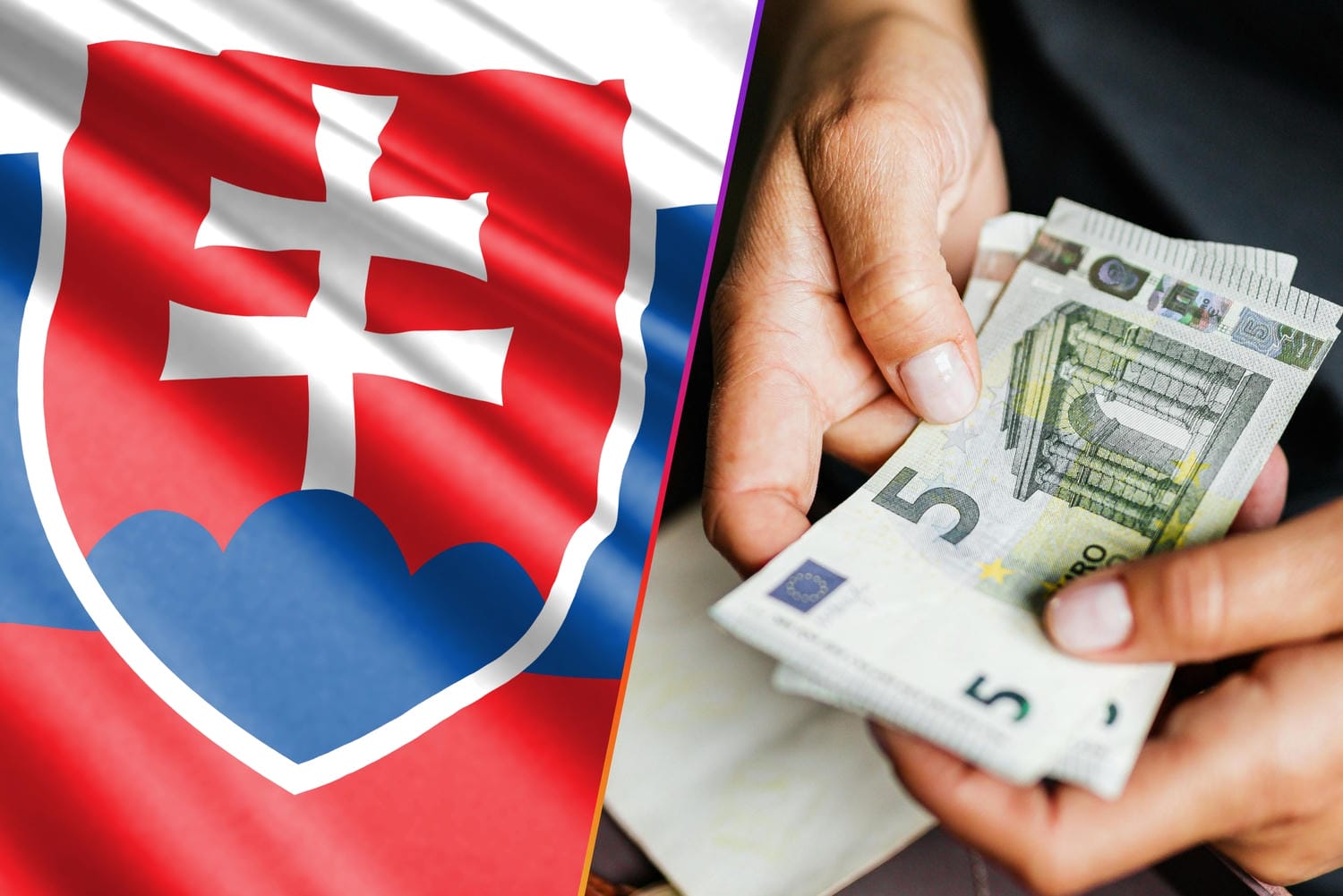 štát, peniaze, SaS, konsolidácia