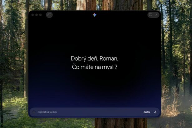 Gemini pre Mac