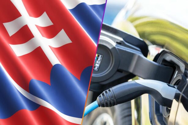 slovensko, elektromobil