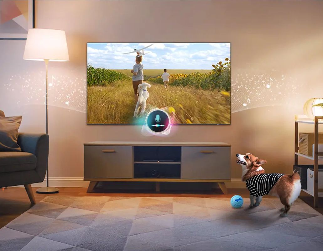 Samsung QE75QN70F