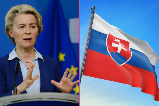 Európska komisia, EÚ, Slovensko