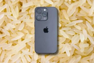 iPhone, ryža