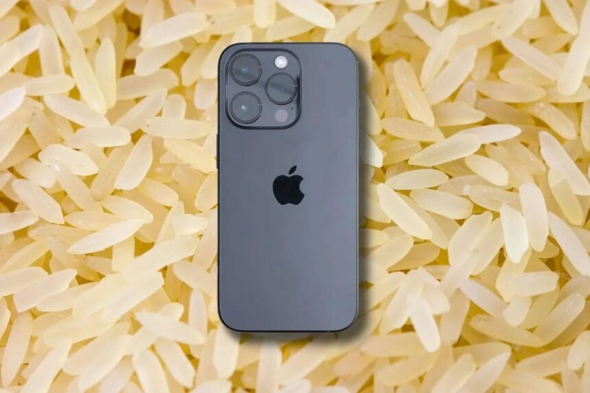 iPhone, ryža