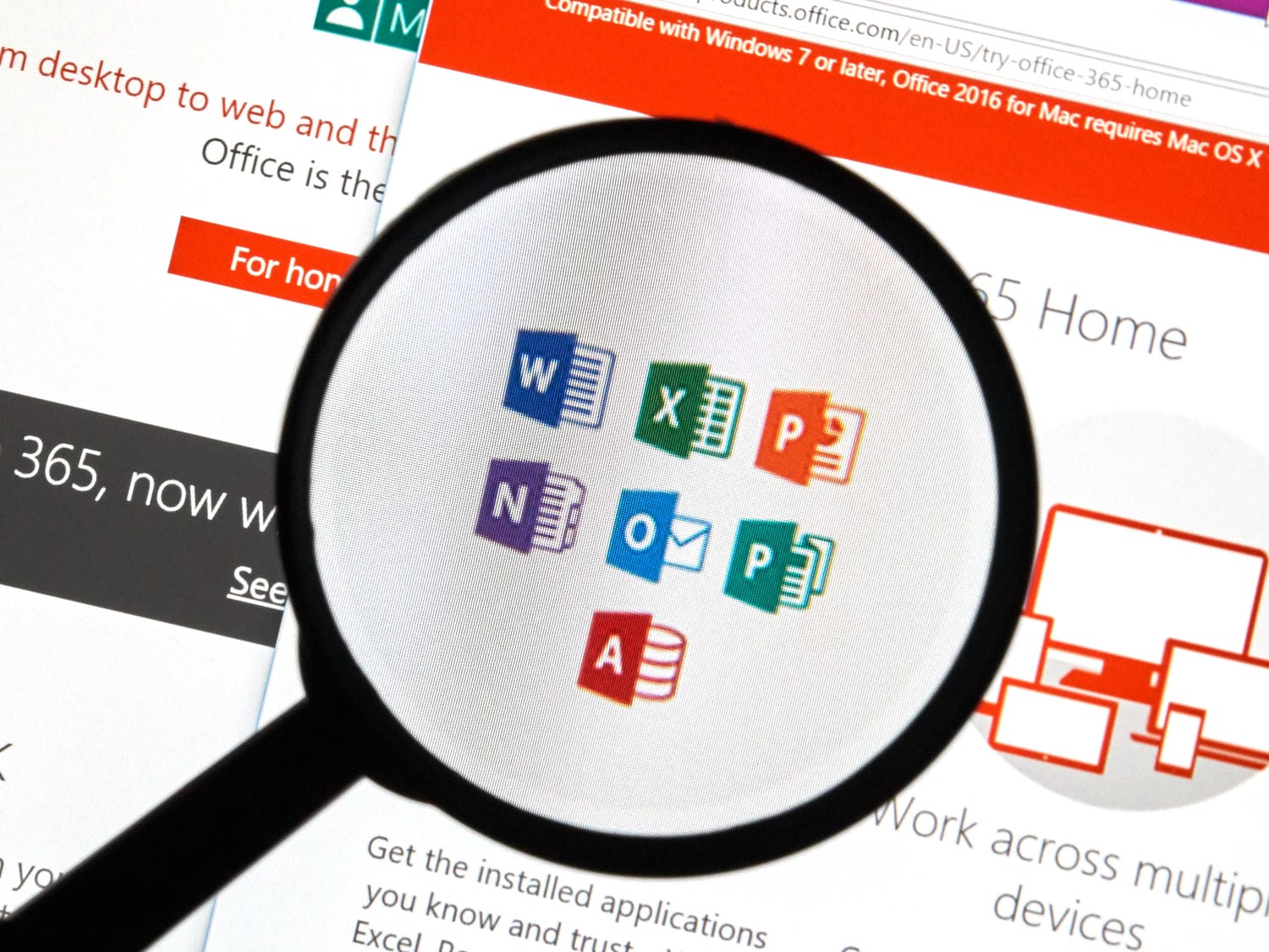 Microsoft 365