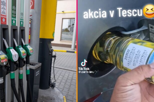 Nafta, olej, rastlinný olej, repkový olej
