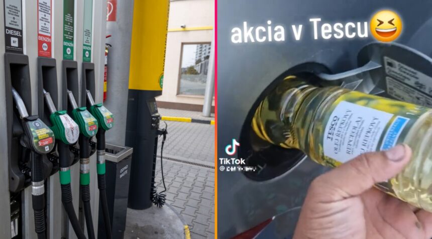 Nafta, olej, rastlinný olej, repkový olej