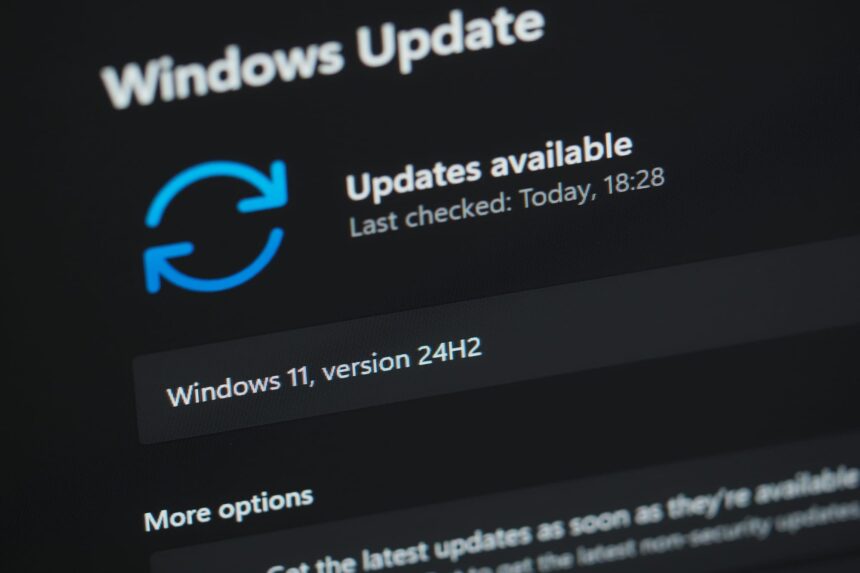 Windows 11