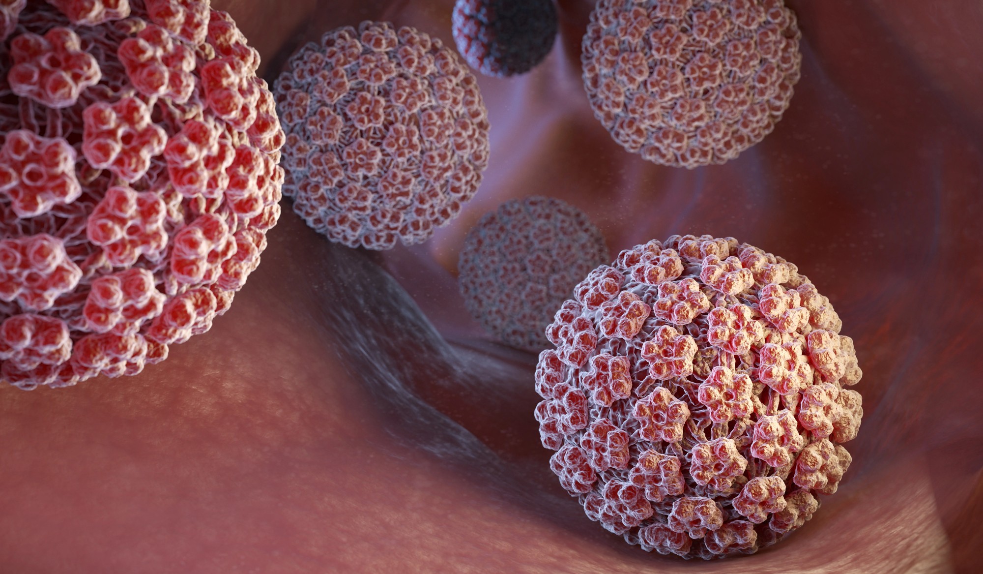 HPV vírus